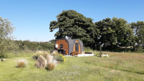 Hornbeam - Luxury glamping pod Laneast Cornwall